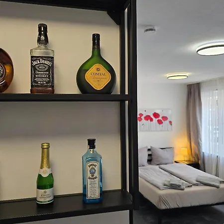 Apartamento Modernes Und Gemütliches In Karlsruhes Zentrum - Apolonialiving *